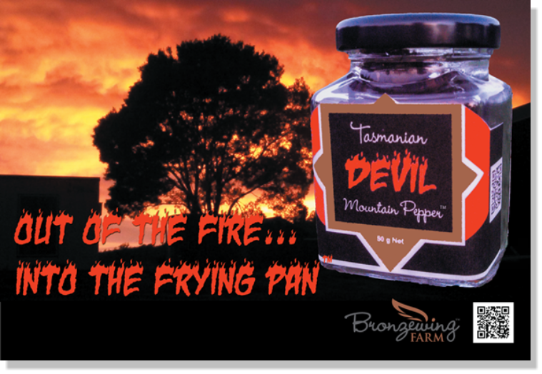 Out of the fire... Into the frying pan