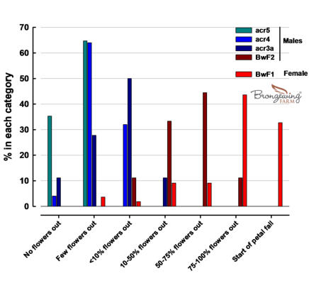 Flowering timing differences between male and females plants on Bronzewing Farm