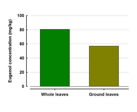 Loss of aromatics following milling of Pepper Leaf