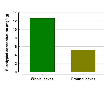 Loss of aromatics following milling of Pepper Leaf